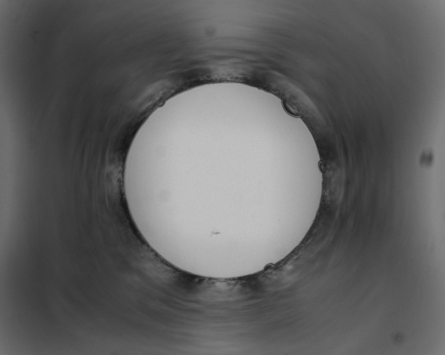 X0000101990329200808081642