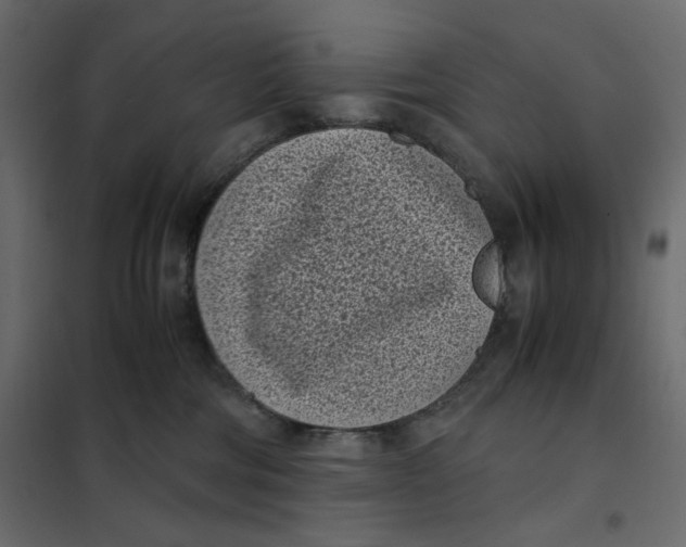 X0000101990330200808081642