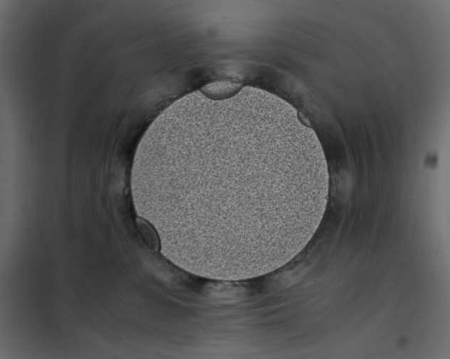 X0000101990331200808081642