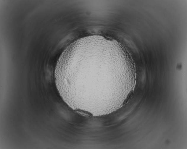 X0000101990332200808081642