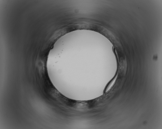 X0000101990333200808081642