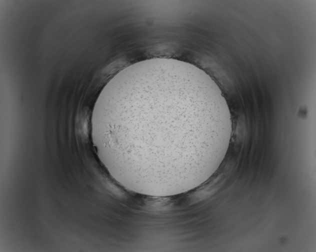 X0000101990334200808081642