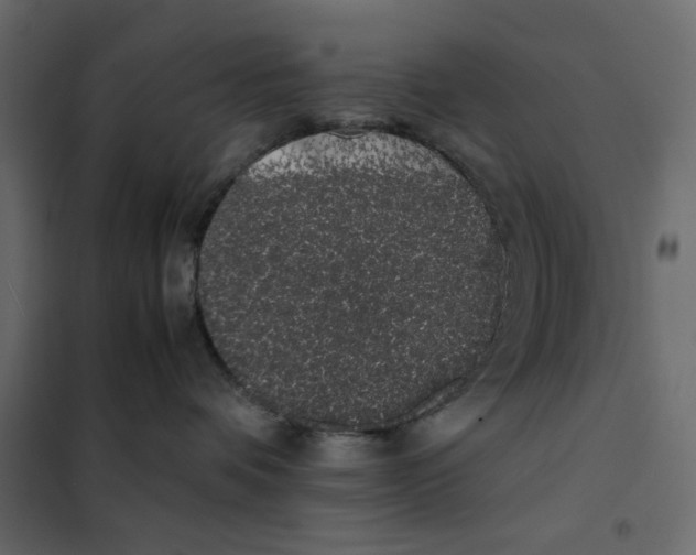 X0000101990336200808081642