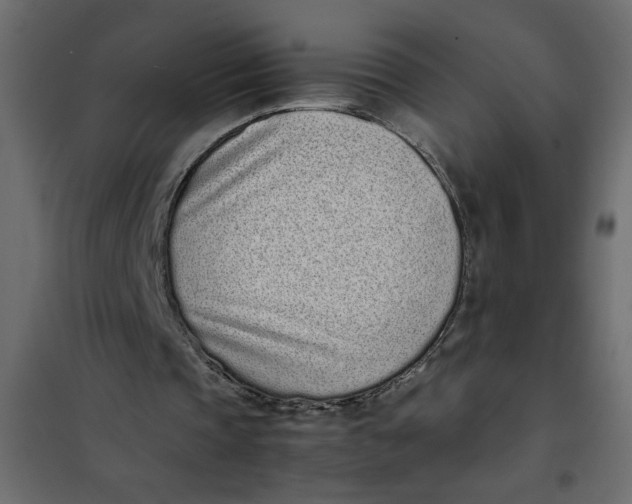 X0000101990337200808081641