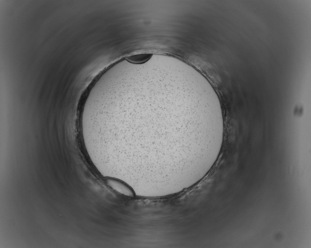 X0000101990338200808081641