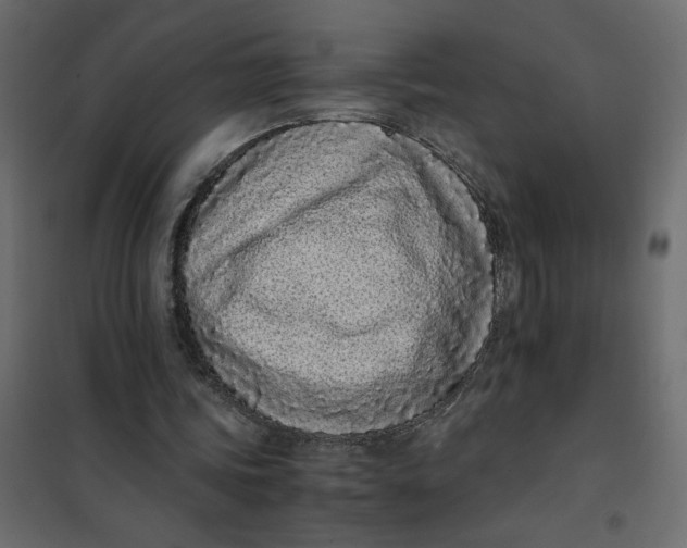 X0000101990339200808081641