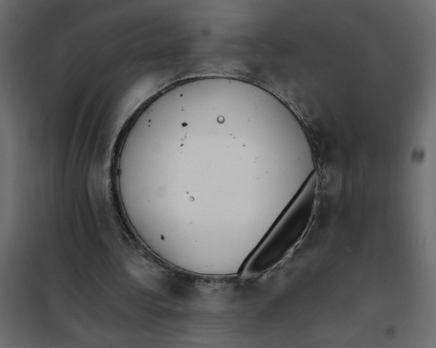 X0000101990340200808081641