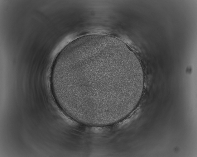 X0000101990341200808081641