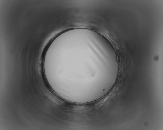 X0000101990342200808081641