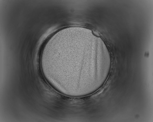 X0000101990343200808081641