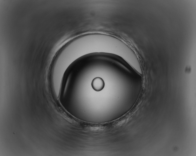 X0000101990344200808081641