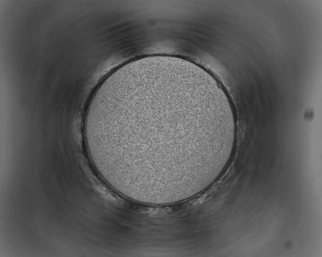 X0000101990345200808081641