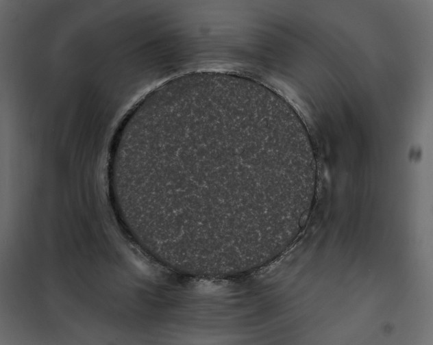 X0000101990346200808081641