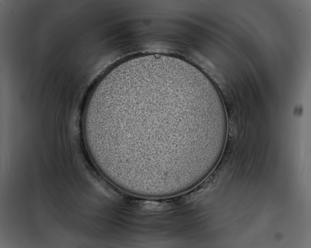 X0000101990347200808081641