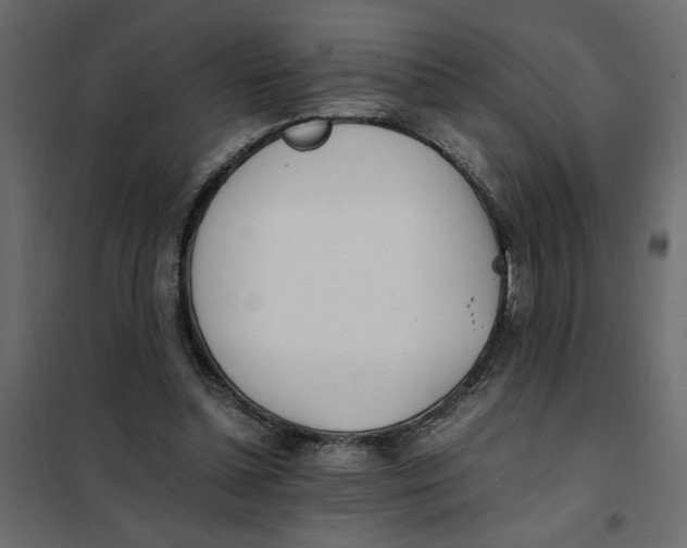 X0000101990348200808081641