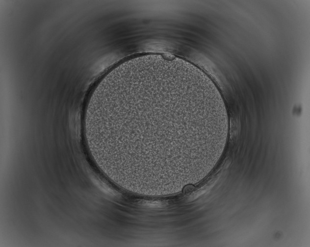 X0000101990349200808081641