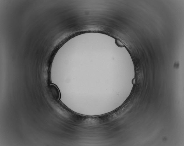 X0000101990350200808081641