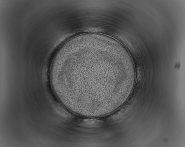X0000101990351200808081641