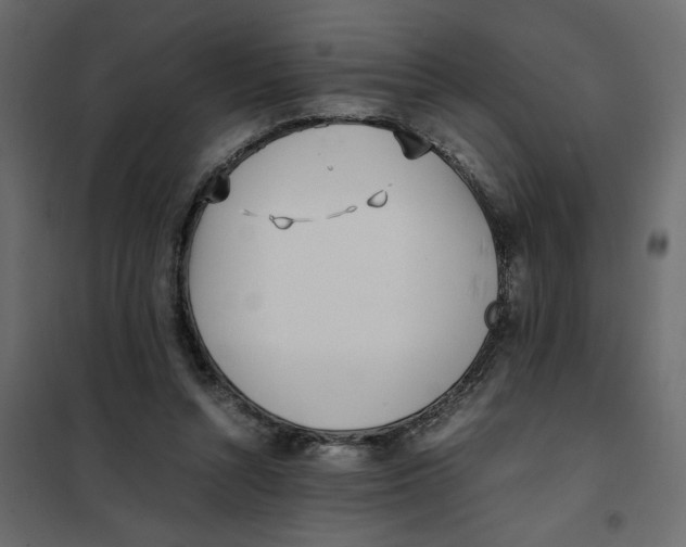 X0000101990352200808081641