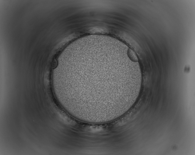 X0000101990353200808081641