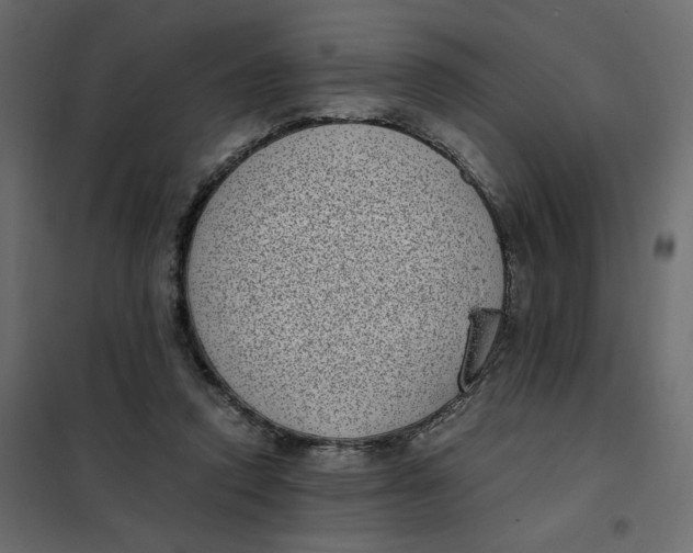 X0000101990354200808081641