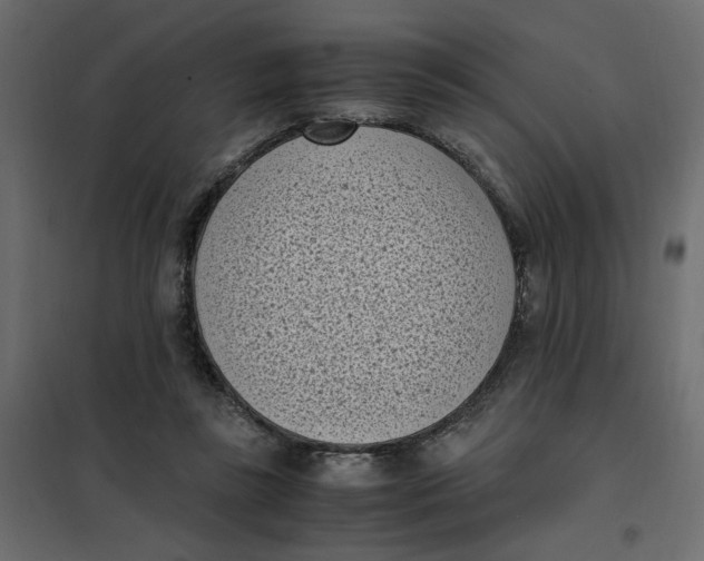 X0000101990355200808081641