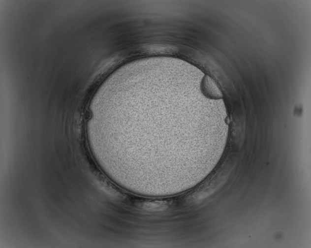 X0000101990357200808081641