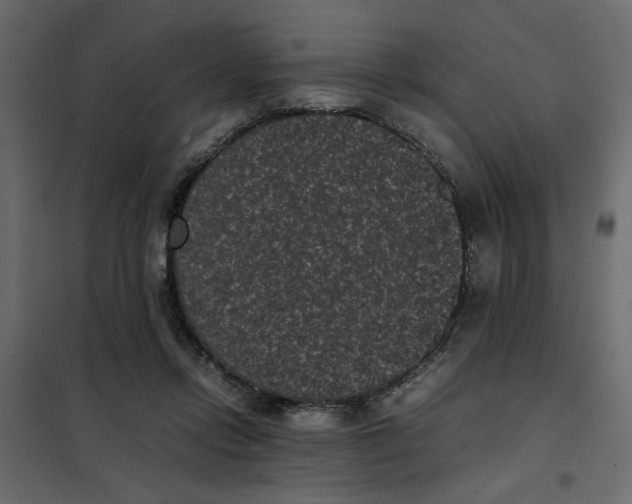 X0000101990358200808081641