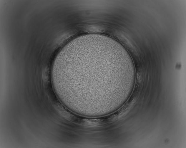 X0000101990359200808081641