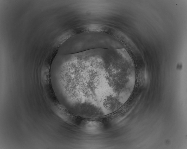 X0000101990360200808081641