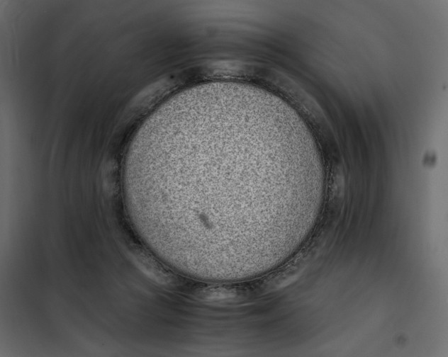 X0000101990361200808081642