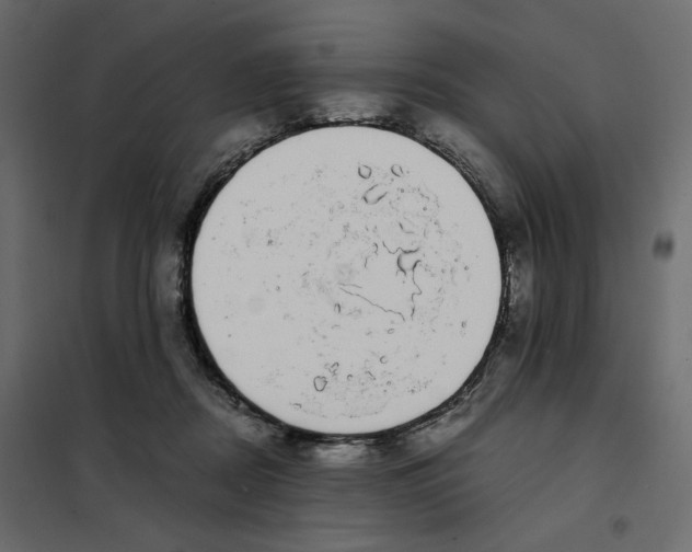 X0000101990362200808081642