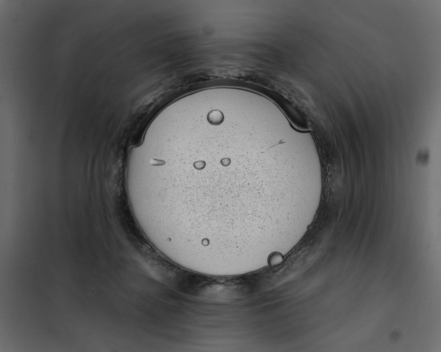 X0000101990364200808081642