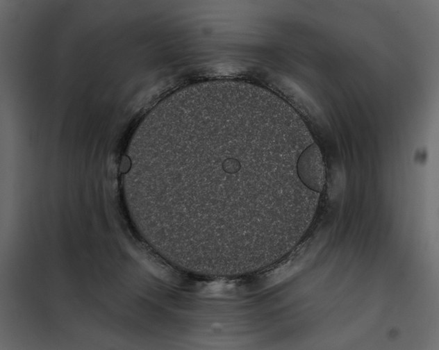 X0000101990366200808081642
