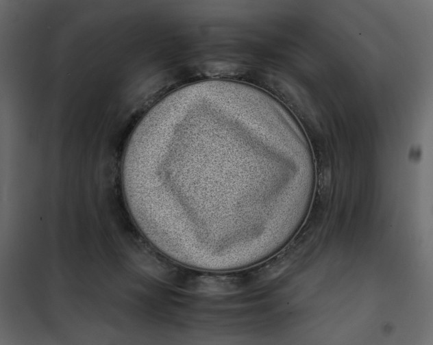 X0000101990367200808081642