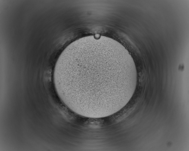 X0000101990368200808081642