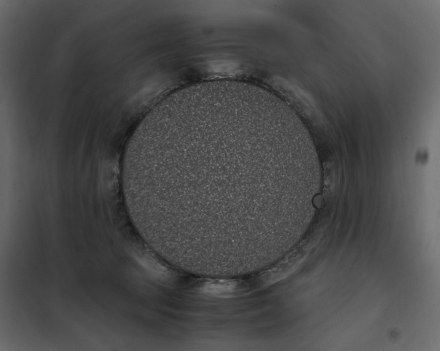 X0000101990369200808081642