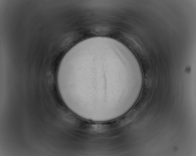 X0000101990371200808081642