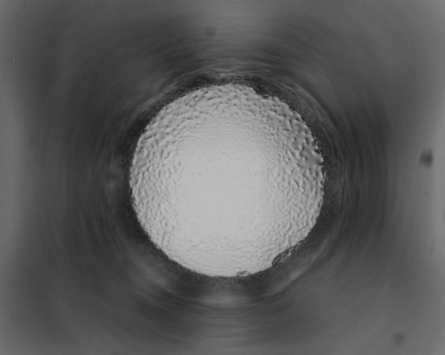 X0000101990372200808081642