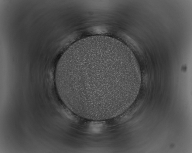 X0000101990373200808081642