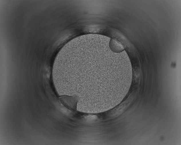 X0000101990374200808081642