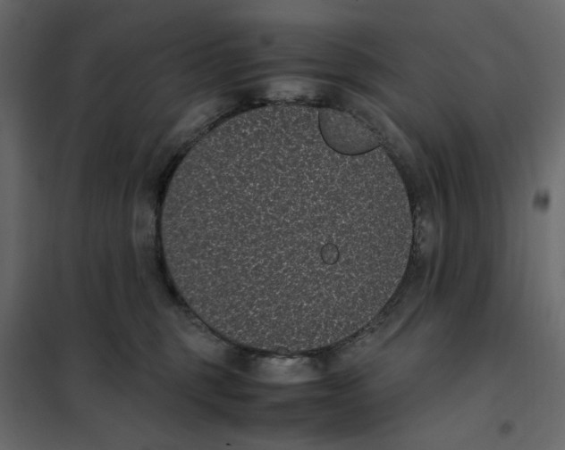 X0000101990375200808081642