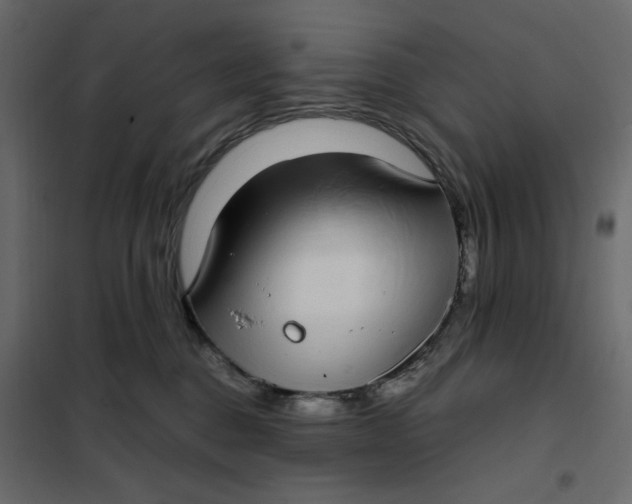 X0000101990376200808081642