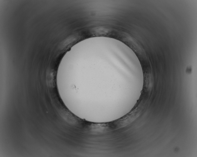 X0000101990378200808081642