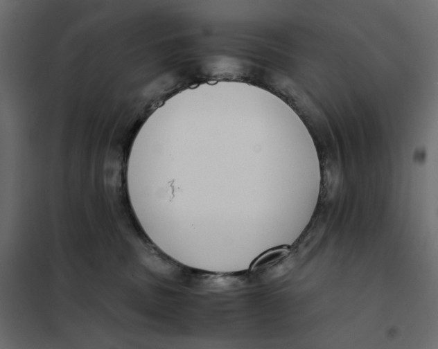 X0000101990379200808081642