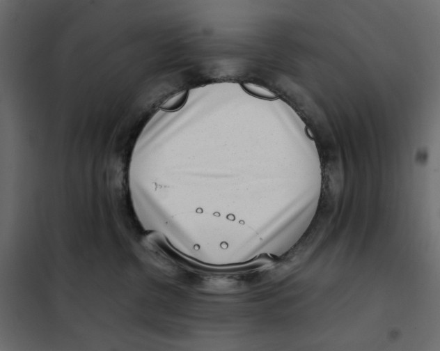 X0000101990380200808081642