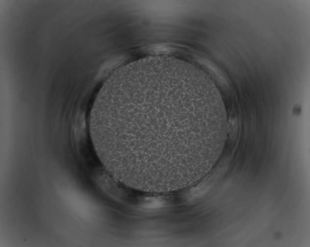 X0000101990381200808081642