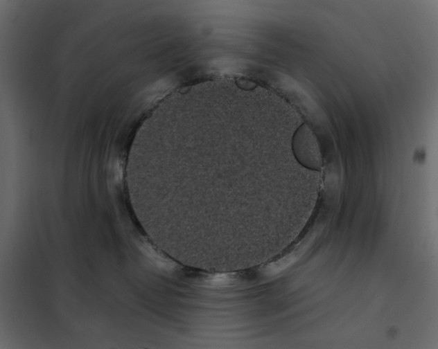 X0000101990382200808081642