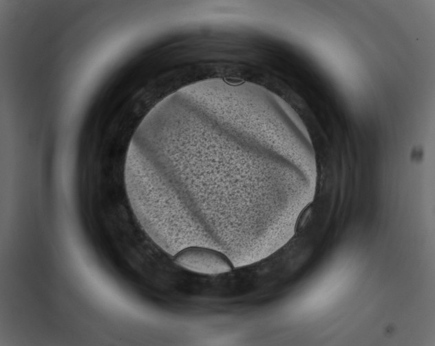 X0000101990383200808081642