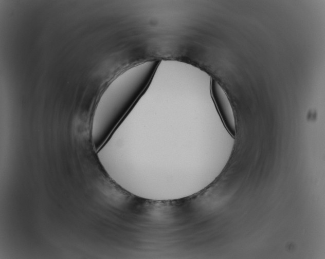 X0000101990384200808081642